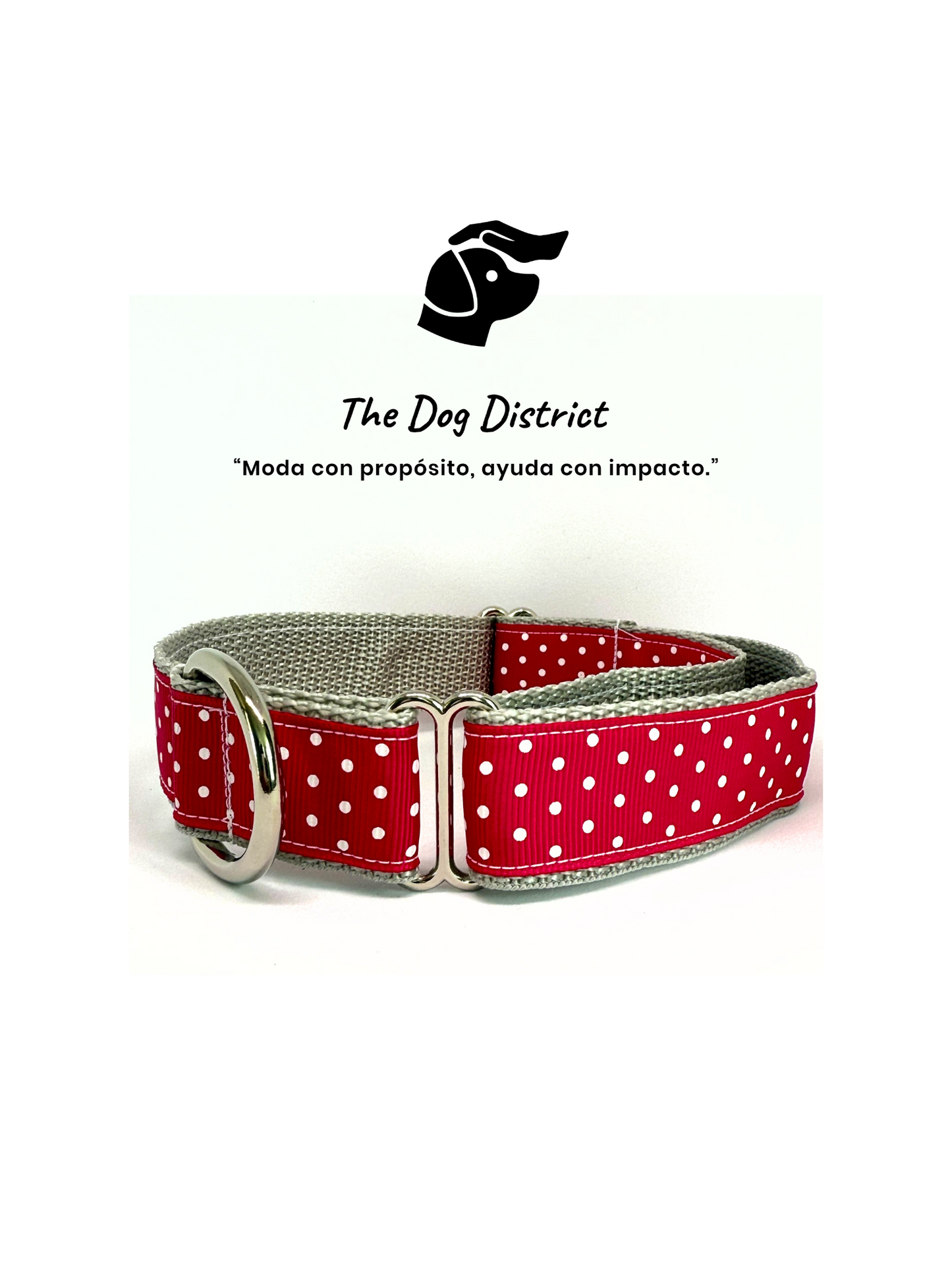 Dots Paws
