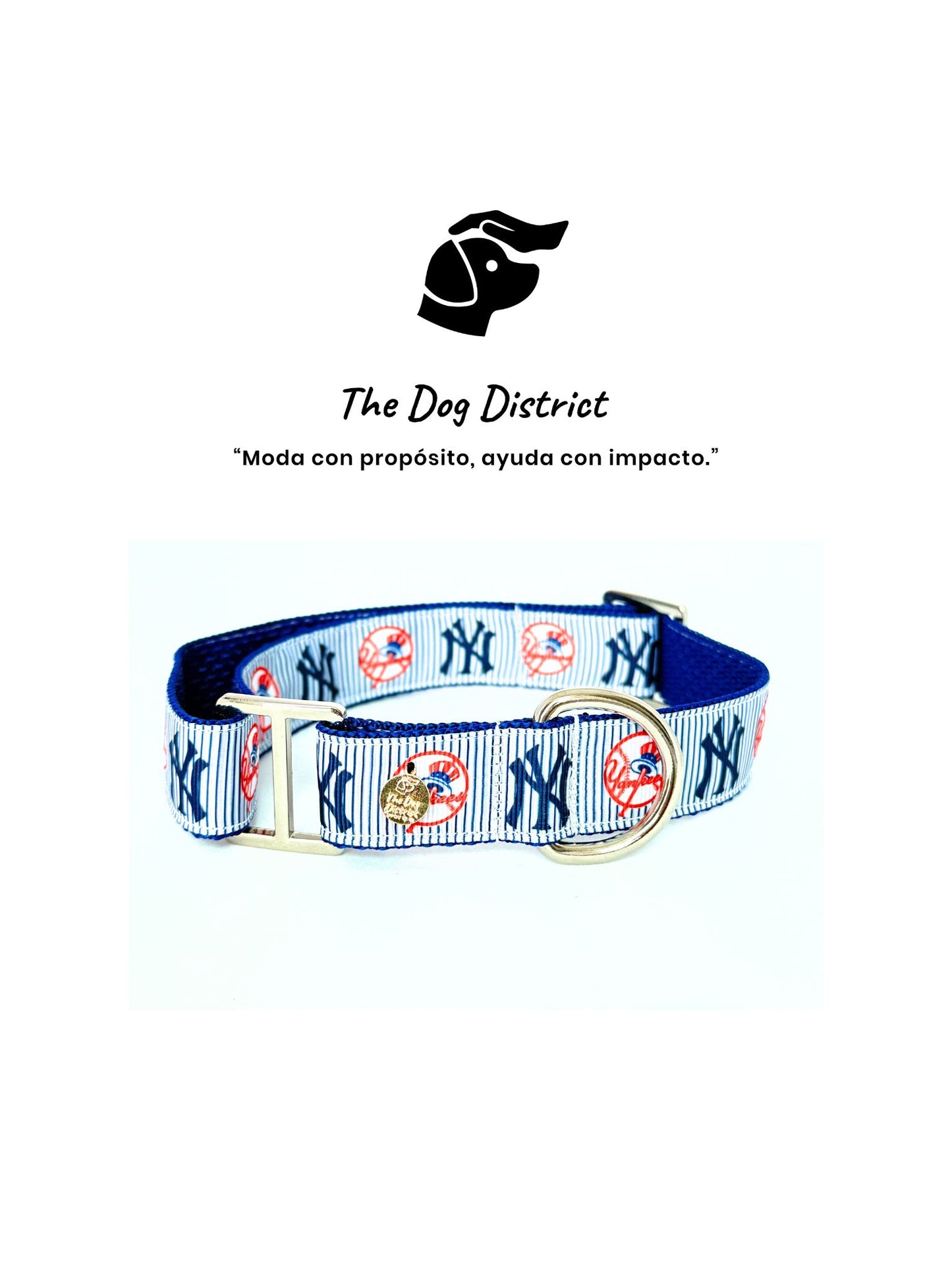 Yankee's Fan
