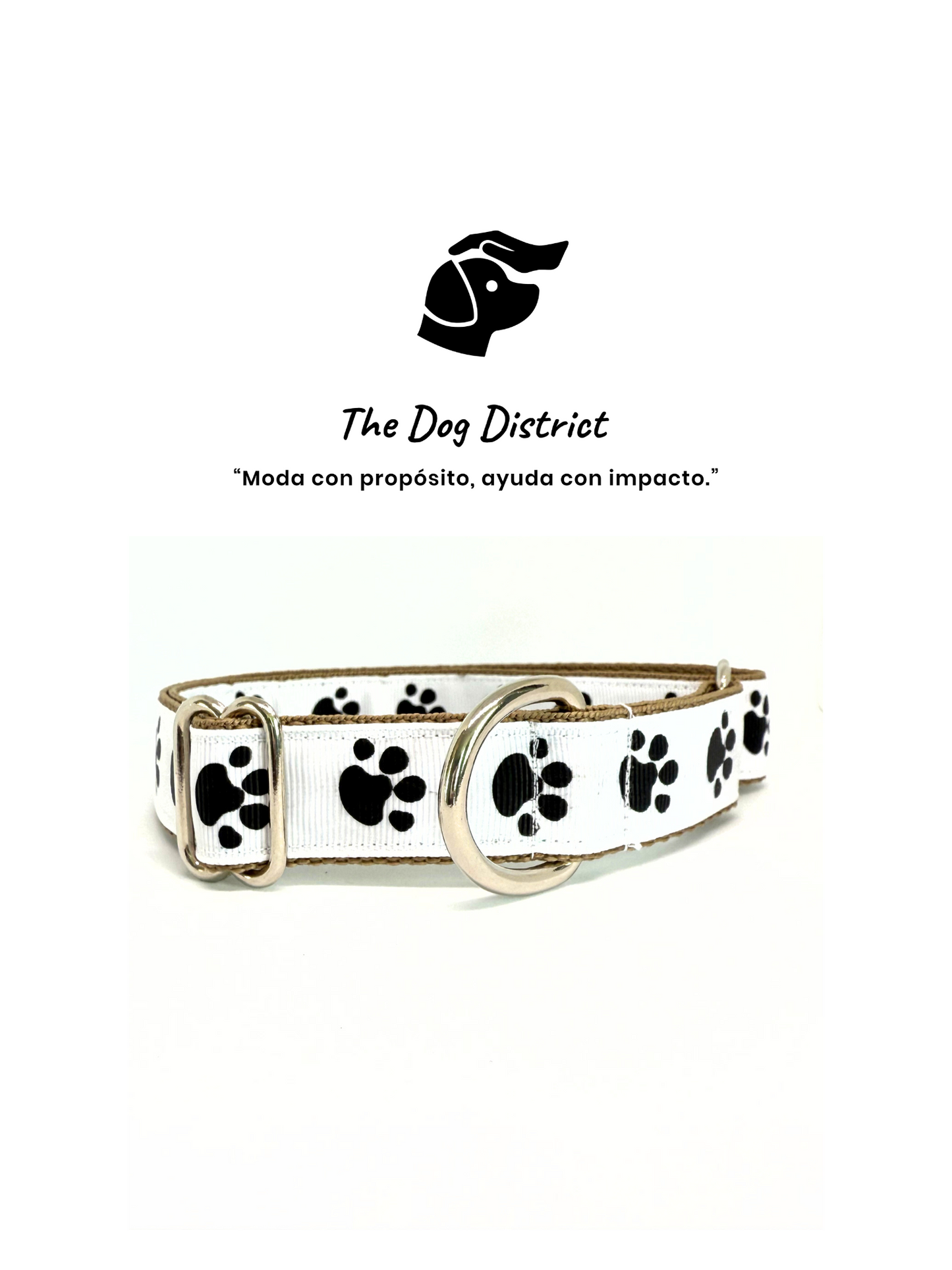 Paws Paws