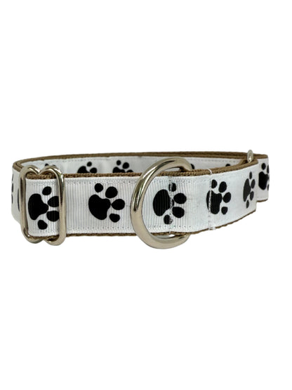 Paws Paws